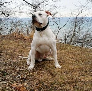 Meet your Posher, Anwar